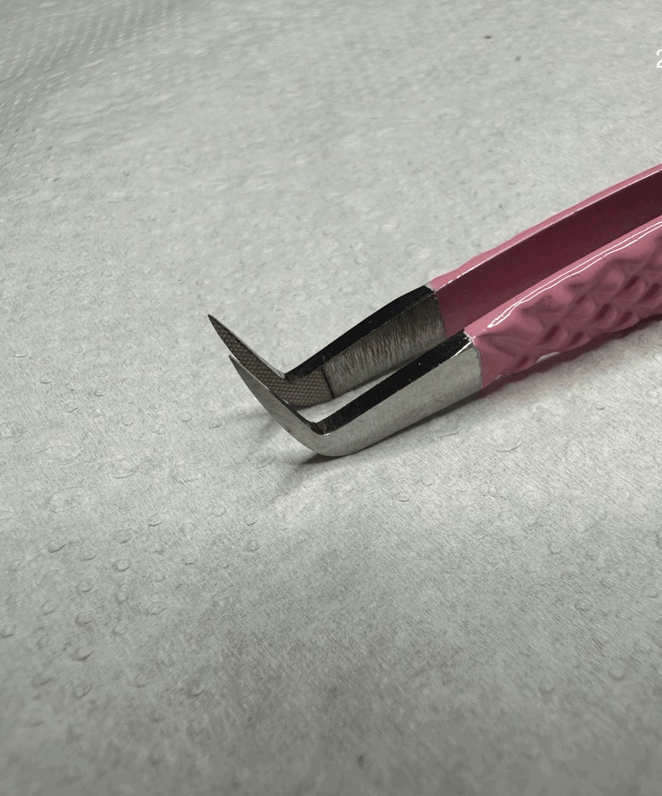 Butterfly " Curved " Tweezer